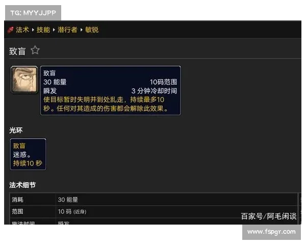 暗影潜行：盗贼地下城攻略秘术